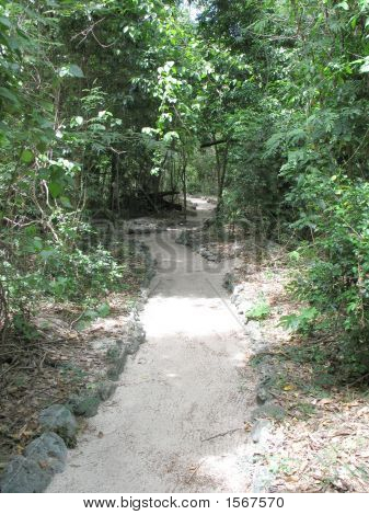 Camino a dónde en Particular