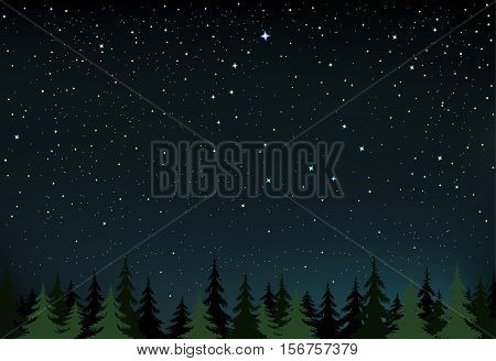 The night wood and space with stars that show a little and the Big Dipper