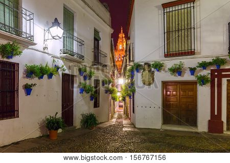 Flowers in flowerpot on the white walls on famous Flower street Calleja de las Flores in old Jewish quarter of Cordoba and Bell Tower Mezquita at night, Andalusia, Spain