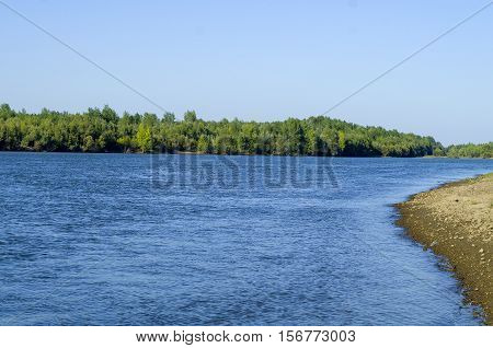 island covered with green forest on a large river