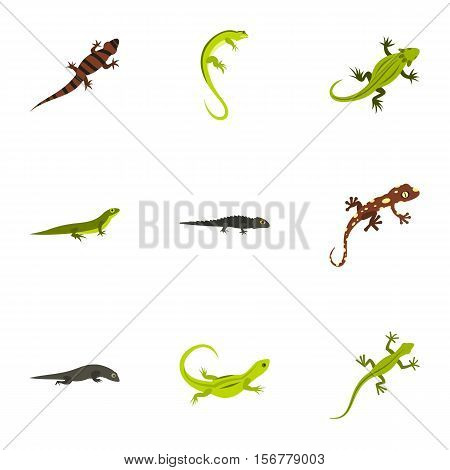 Iguana icons set. Flat illustration of 9 iguana vector icons for web