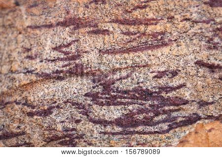 Surface of a red sandstone with white intercalations.