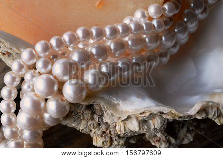A close up image of a string of pearls on an oyster shell.