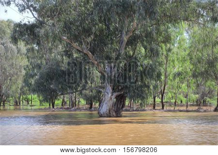 Gum Tree In Floodwaters