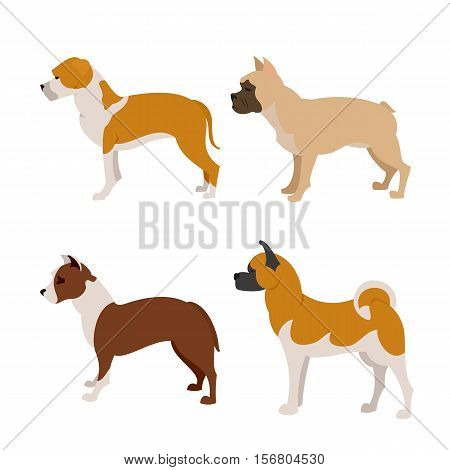 Collection of purebred dogs french bulldog, pittbull and staffordshire terrier, vector illustration