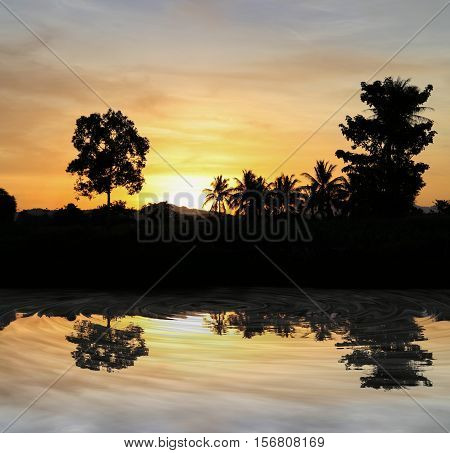 sky in sunset cloud colorful beautiful with silhouette motion tree woodland and river reflect in evening on nature : with copy space for add text.
