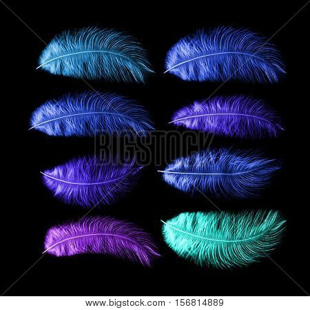 Colored feathers