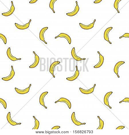 Vector hand drawn seamless banana pattern. Fruits background