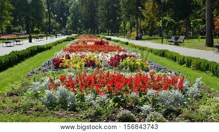 Public Park In Serbia