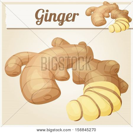 Ginger root illustration. Cartoon vector icon. Series of food and ingredients for cooking.