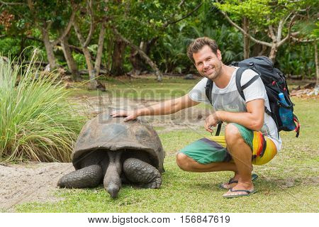 Male tourist caressing and admiring big old Aldabra giant tortoises, Aldabrachelys gigantea, in National Marine Park on Curieuse island, close to Praslin on Seychelles.