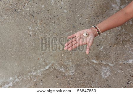 hermit crab Select focus (Diogenes pagurian soldier crab) on hand