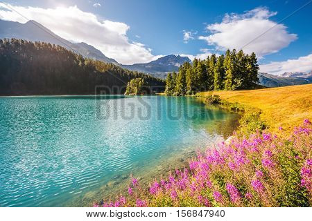 Great view of the azure pond Champfer in alpine valley. Popular tourist attraction. Picturesque and gorgeous scene. Location Swiss alps, Silvaplana village, district of Maloja, Europe. Beauty world.