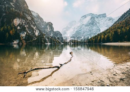 Great scene the alpine lake Braies (Pragser Wildsee). Location place Dolomiti national park Fanes-Sennes-Braies, Italy. Europe. Cross processed retro and vintage style. Instagram effect. Beauty world.