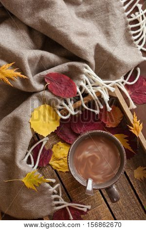 hot chocolate warming drink wool throw cozy autumn leaves