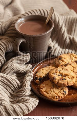 hot chocolate warming drink wool throw cozy autumn cookies