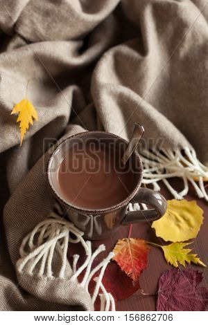 hot chocolate warming drink wool throw cozy autumn leaves