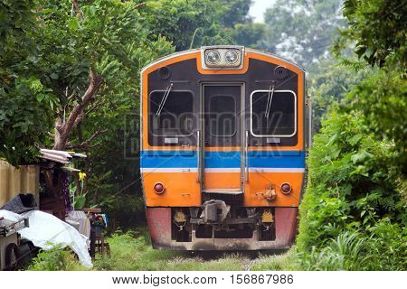 Train passing inside a greenery tunnel near Bangkok, Thailand . This place is looking like a rural village but it's 200 meters from Bangkok's moderns building .