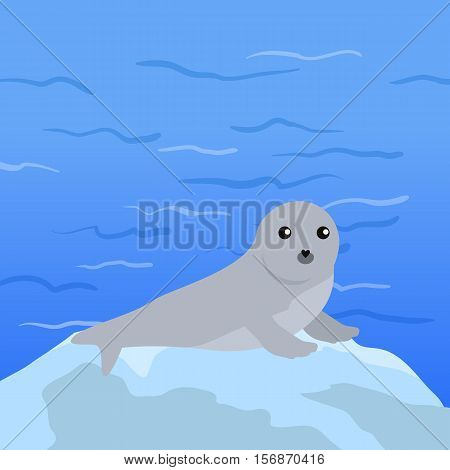 Earless seal on floe in the ocean. Flat style vector. Wild animal. Northern fauna species. Cute baby of sea calf in habitat. For nature concepts, children s books illustrating, printing materials