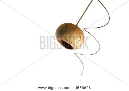 Materiał siewny Pod