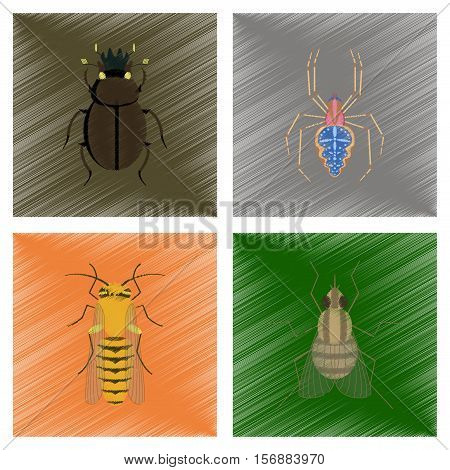 assembly flat shading style illustration of bug scarab Araneus bee fly
