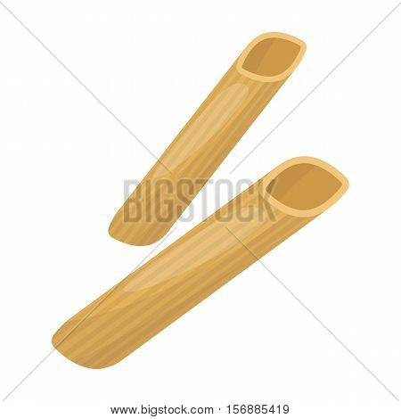 Penne rigate pasta icon in cartoon style isolated on white background. Types of pasta symbol vector illustration.