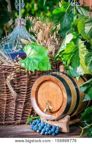 Barrel And Demijohn Full Of Red Wine