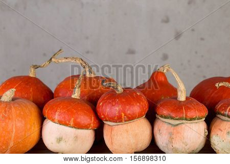 Orange decorative pumpkins to decorate the interior.