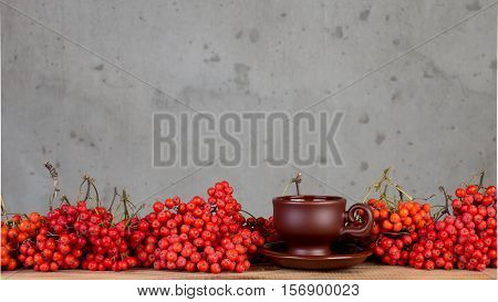 The berries are red ash for use as a decorative still-life.