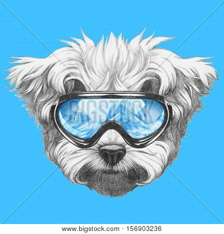 Portrait of Maltese Poodle with ski goggles. Hand drawn illustration.