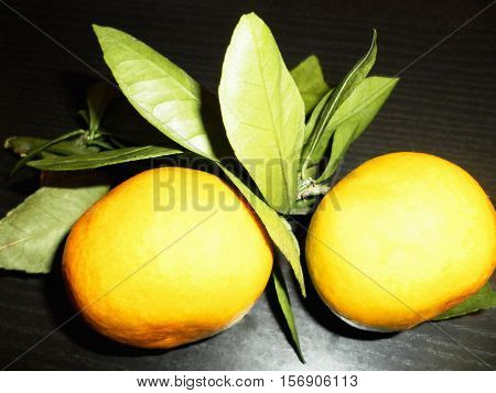 Mandarines on a branch with leaves on a black background