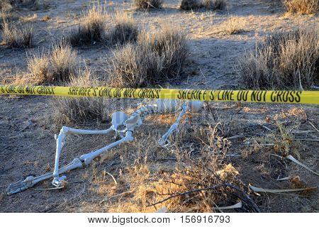 Crime Scene. Skeleton partially buried in dirt in a desert. Forensic Crime Scene. Murder Scene. CSI Investigation.  