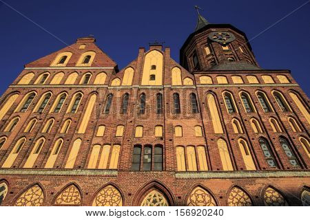 Kant`s Cathedral. Kaliningrad. Russia