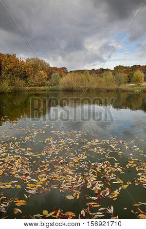 Lake with leaves at water in autumn. Saint Petka Monastery Vojvodina Serbia selective focus on leaves