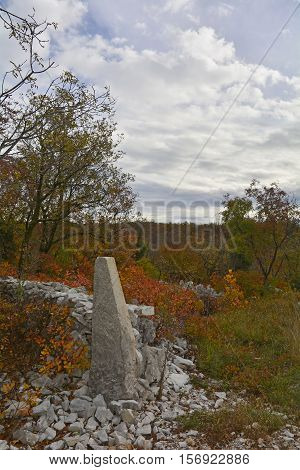 Autumn colours on display in the Carso karst limestone area of Friuli near Aurisina in north east Italy. This is part of a World War One walking trail as the area was then on the frontline.