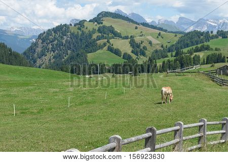 beautiful val gardena and dolomity in italy