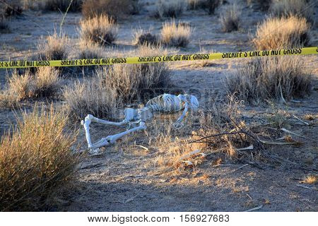 Dark, Gritty, Dirty, Horrific, Crime Scene. Skeleton partially buried in dirt in a desert. Forensic Crime Scene. Murder Scene. CSI Investigation.  Hard Shadows and harsh light adds to the effect 


