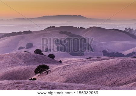 Sunset of California Golden Hills. California Landscape of Oak trees scattered among the beautiful golden hills of the East Bay in Alameda County.