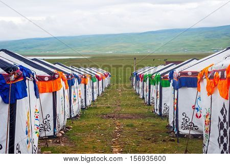 Yurt Camp By Qinghai Lake, China