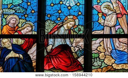 Stained Glass - Jesus In The Garden Of Gethsemane
