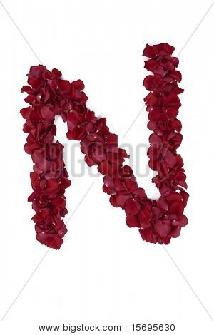 Pétales de rose rouges formant chaque lettre de l'alphabet - Voir le portfolio pour les autres lettres