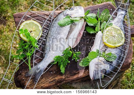 Roasting Fresh Fish With Herbs And Lemon