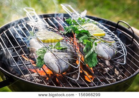 Grilling Tasty Fish With Herbs And Lemon