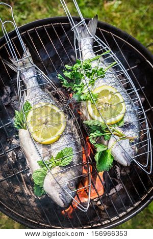 Grilling Tasty Fish With Lemon And Herbs