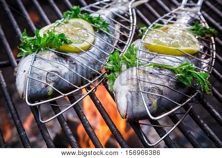 Fresh Fish With Herbs And Lemon On Grill