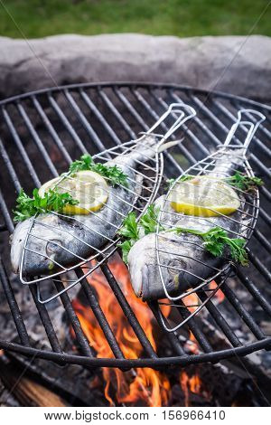 Fresh Fish With Lemon And Herbs For Grilling