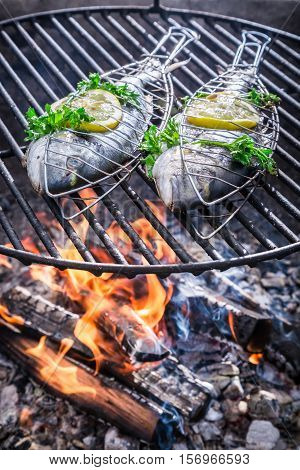 Fresh Fish With Lemon And Herbs On Grill