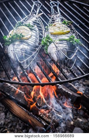Tasty Fish With Herbs And Lemon For Grilling