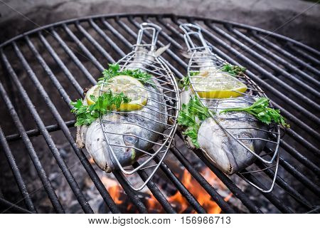 Tasty Fish With Herbs And Lemon On Grill