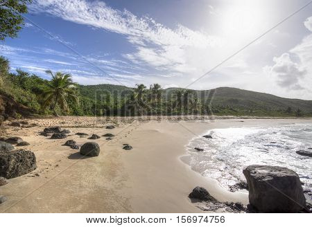 Wide angle direct into sun Playa Brava tropical Caribbean beach on Isla Culebra island with sandy beach and coconut palms